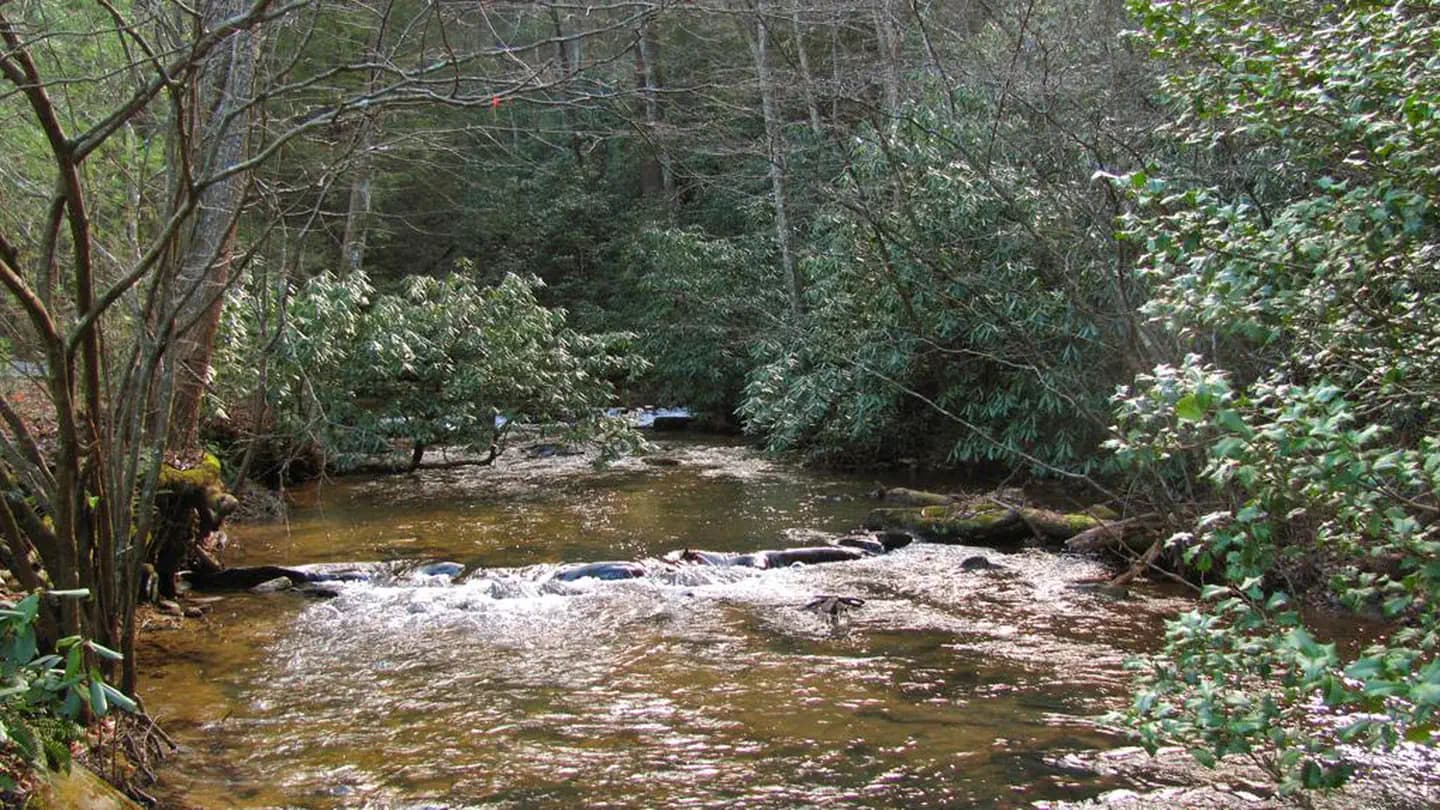 Frank Gross Campground campground