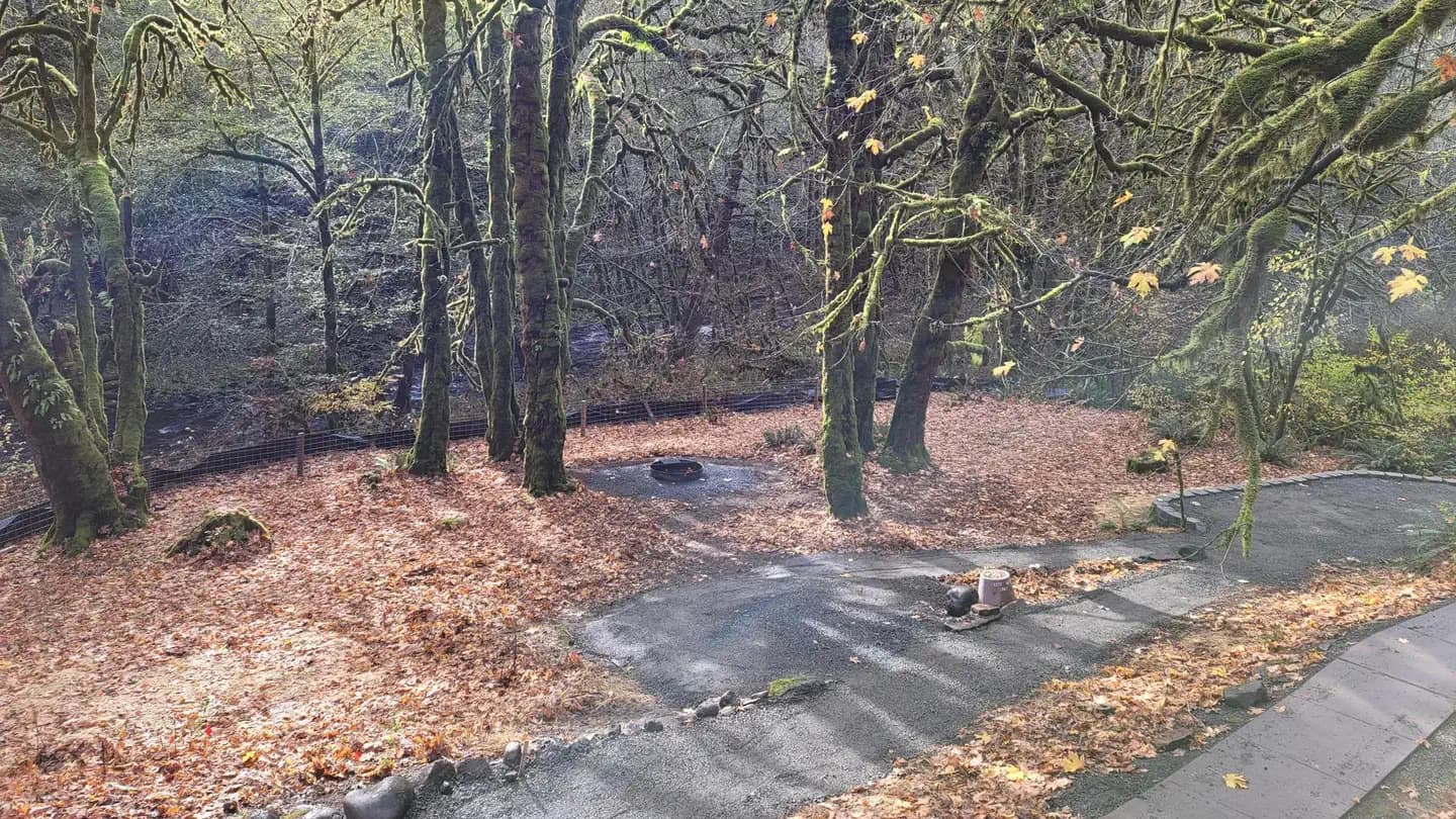Elk Bend Recreation Site campground in Oregon