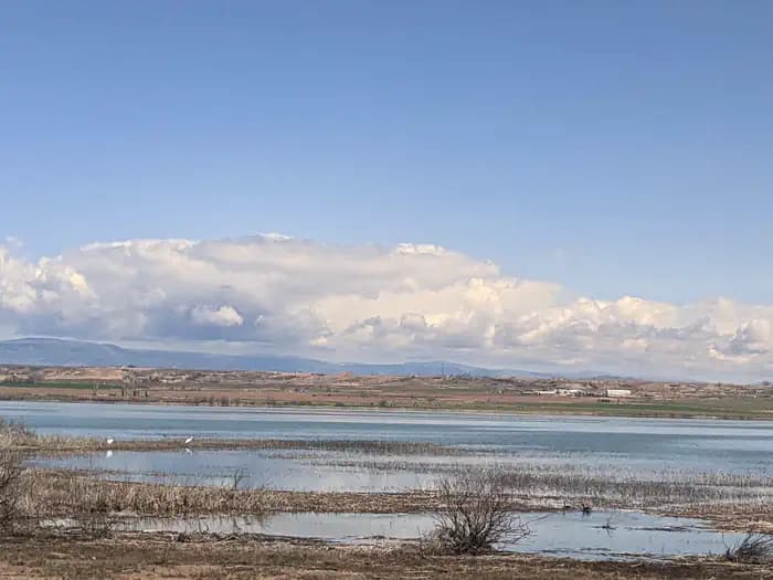 Pelican Lake Campground campground in Utah