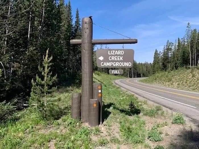 Lizard Creek Campground in Wyoming