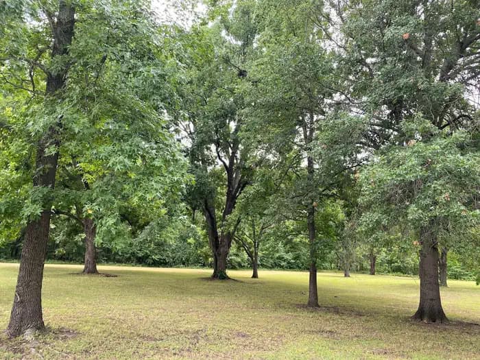 Tullahasse Loop campground