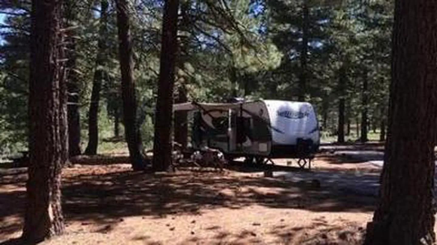 GRIZZLY campground in California