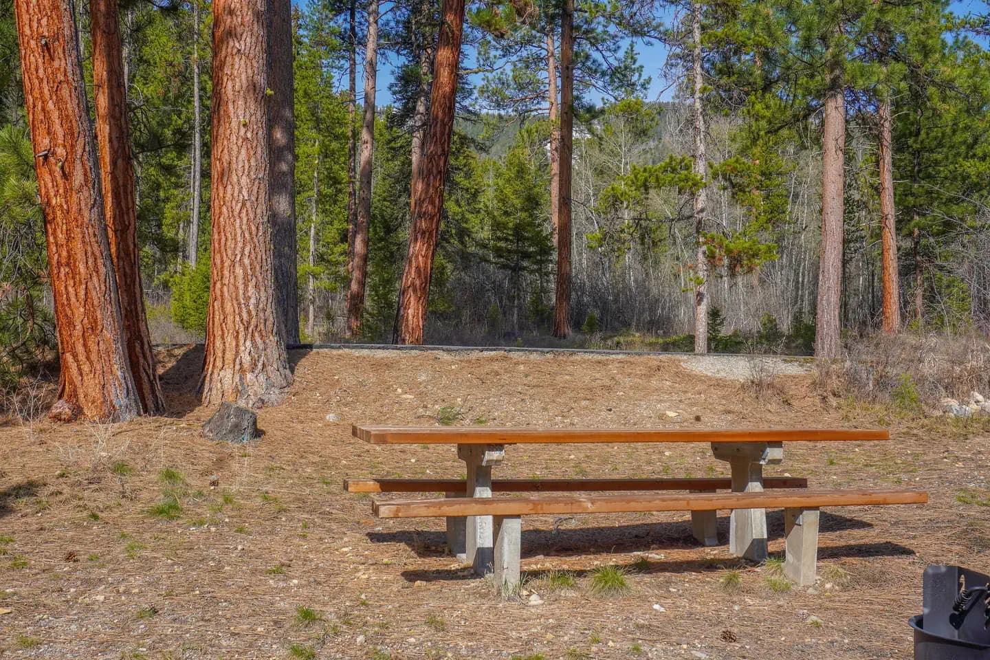 Indian Trees Campground in Montana