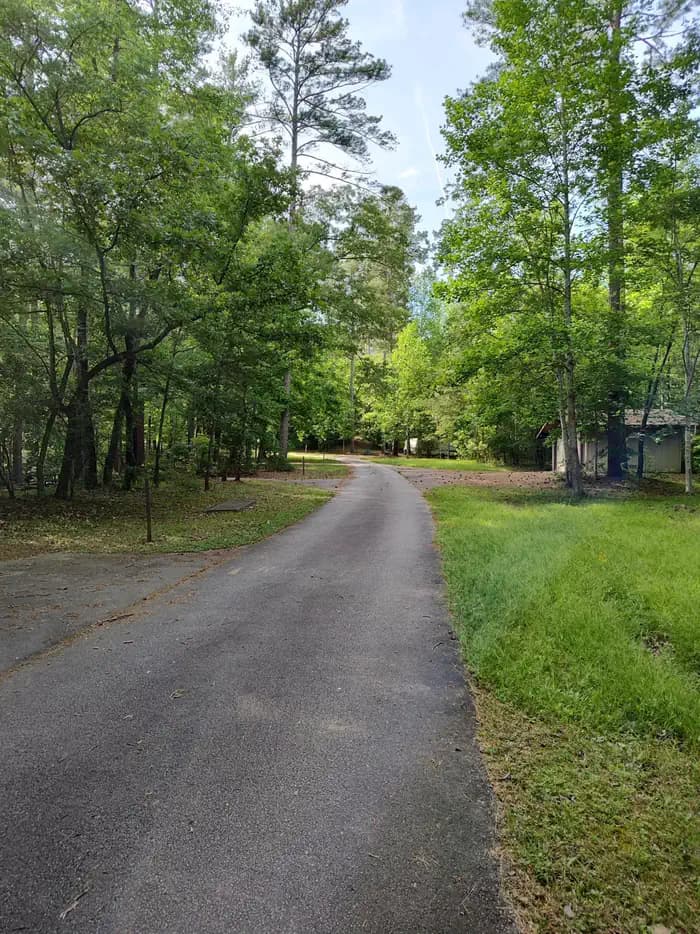 LAKE RUSSELL RECREATION AREA campground