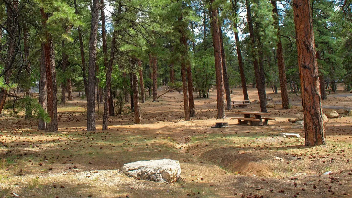 Mather Campground in Arizona