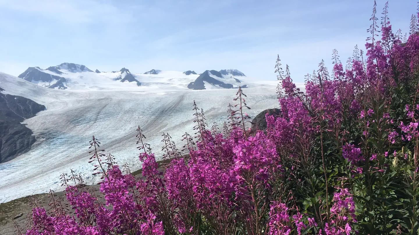 Kenai Fjords National Park Cabins campground