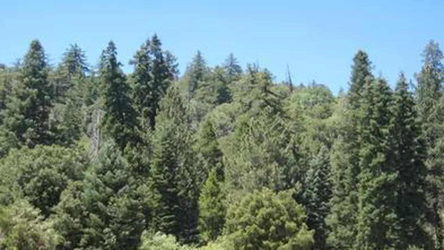 OBSERVATORY CAMPGROUND campground in California