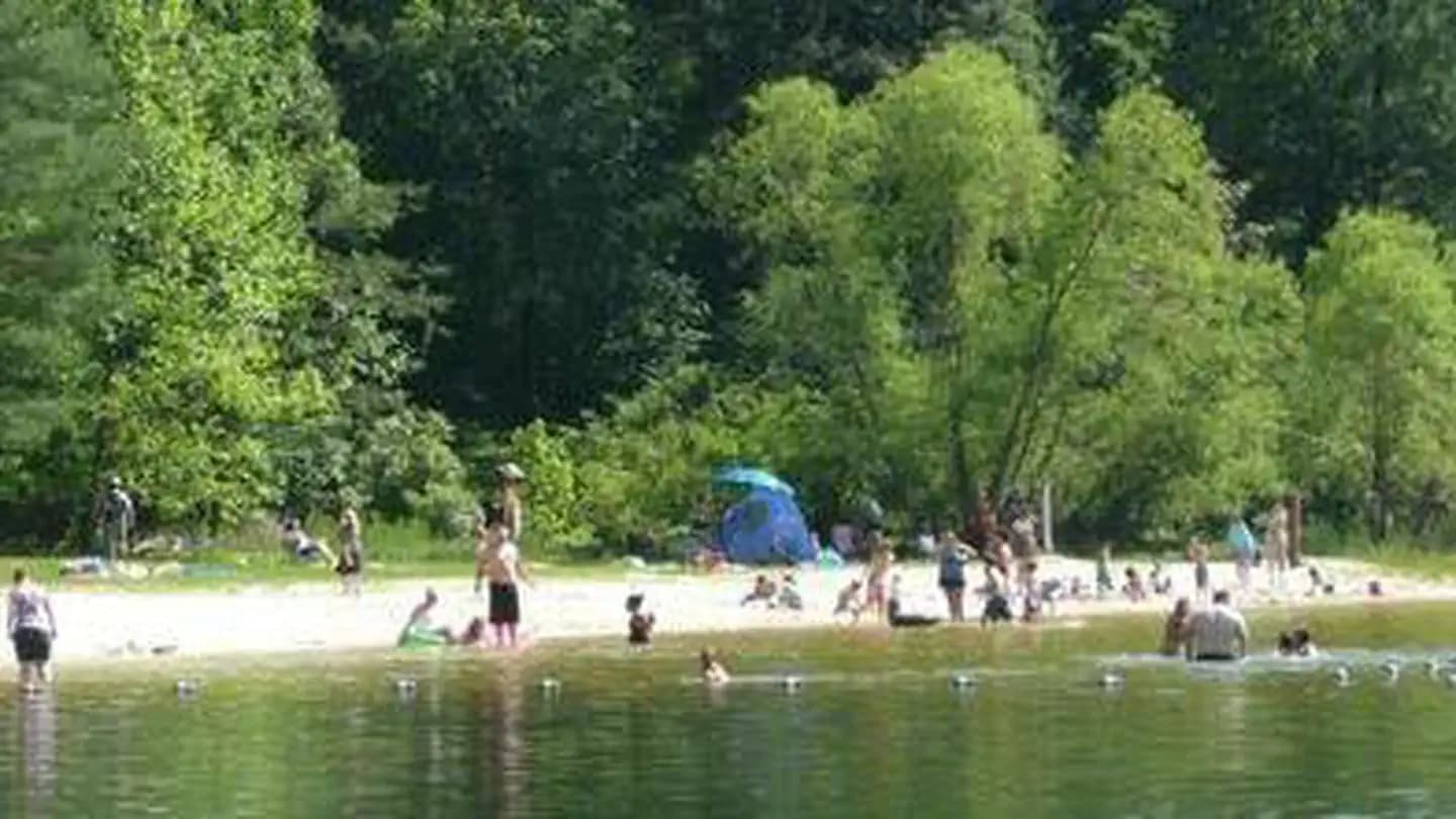 Trout Pond Recreation Area in West Virginia