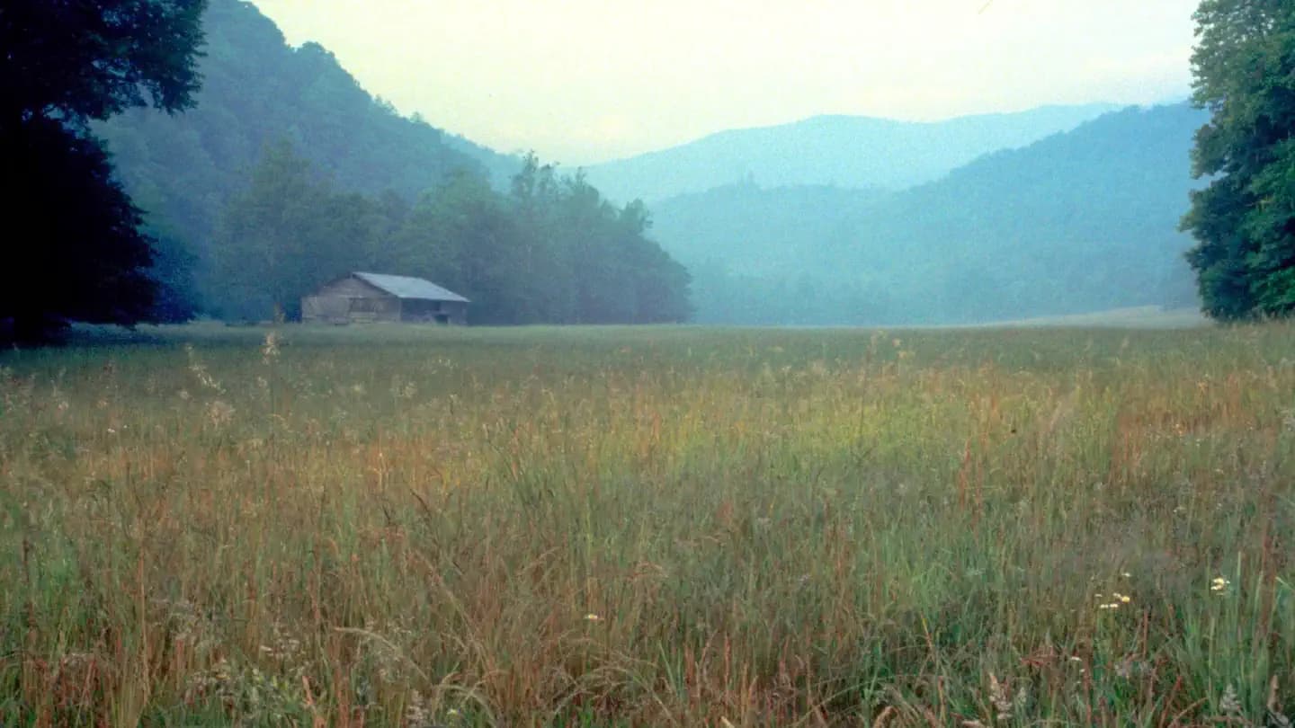 CATALOOCHEE HORSE CAMP campground