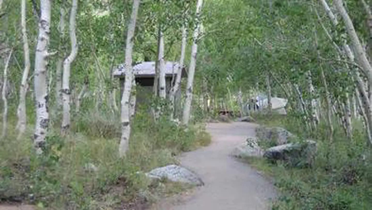 TABLE MOUNTAIN (INYO) campground