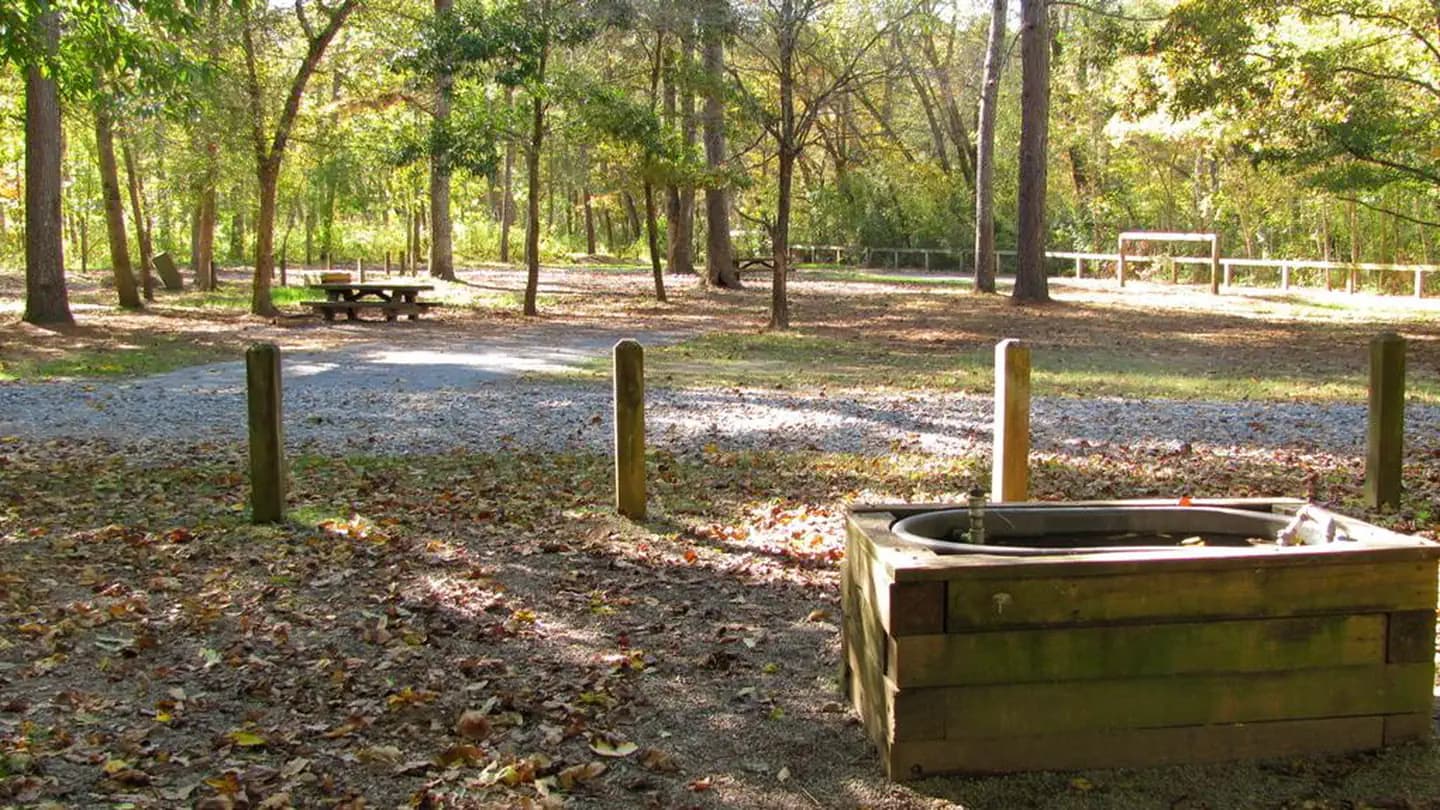 Cottonwood Patch Campground in Georgia