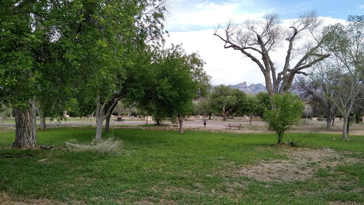 Rio Grande Village Group Campground (Big Bend, Tx) in Texas