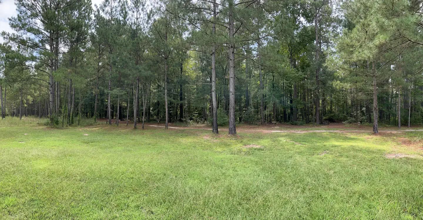 Longleaf Campground campground