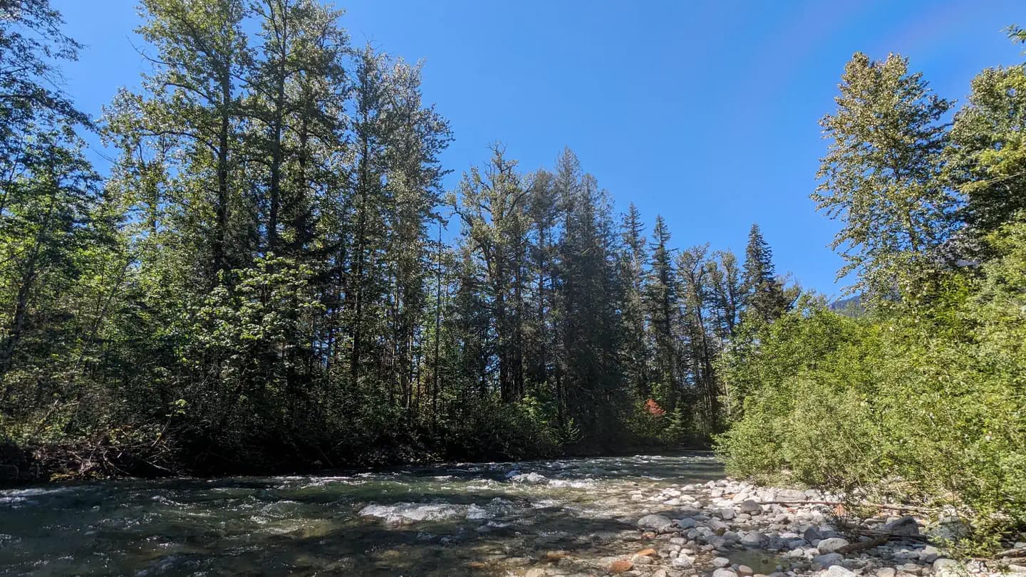 Bedal Campground campground in Washington