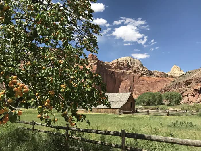 Capitol Reef Group Campground campground in Utah