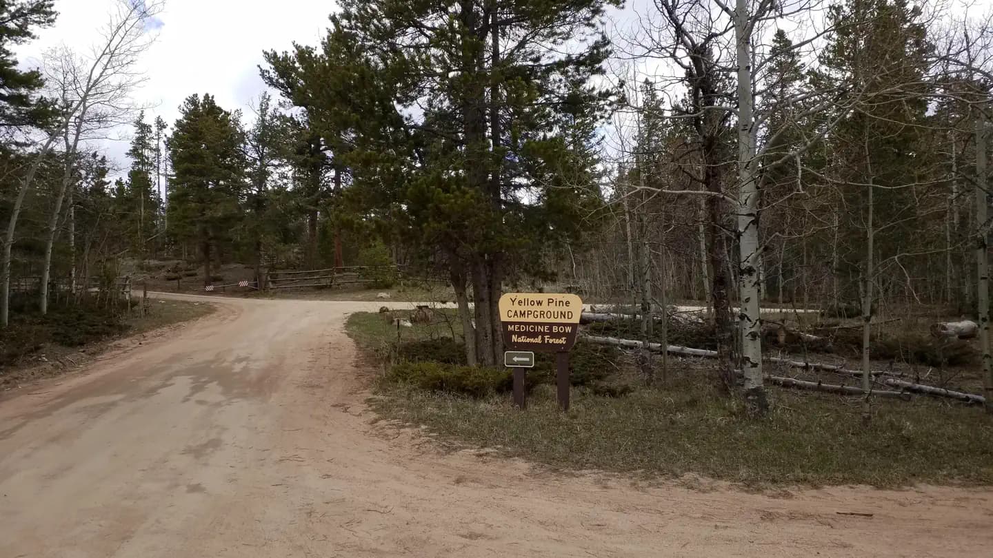Yellow Pine Campground (Wy) in Wyoming