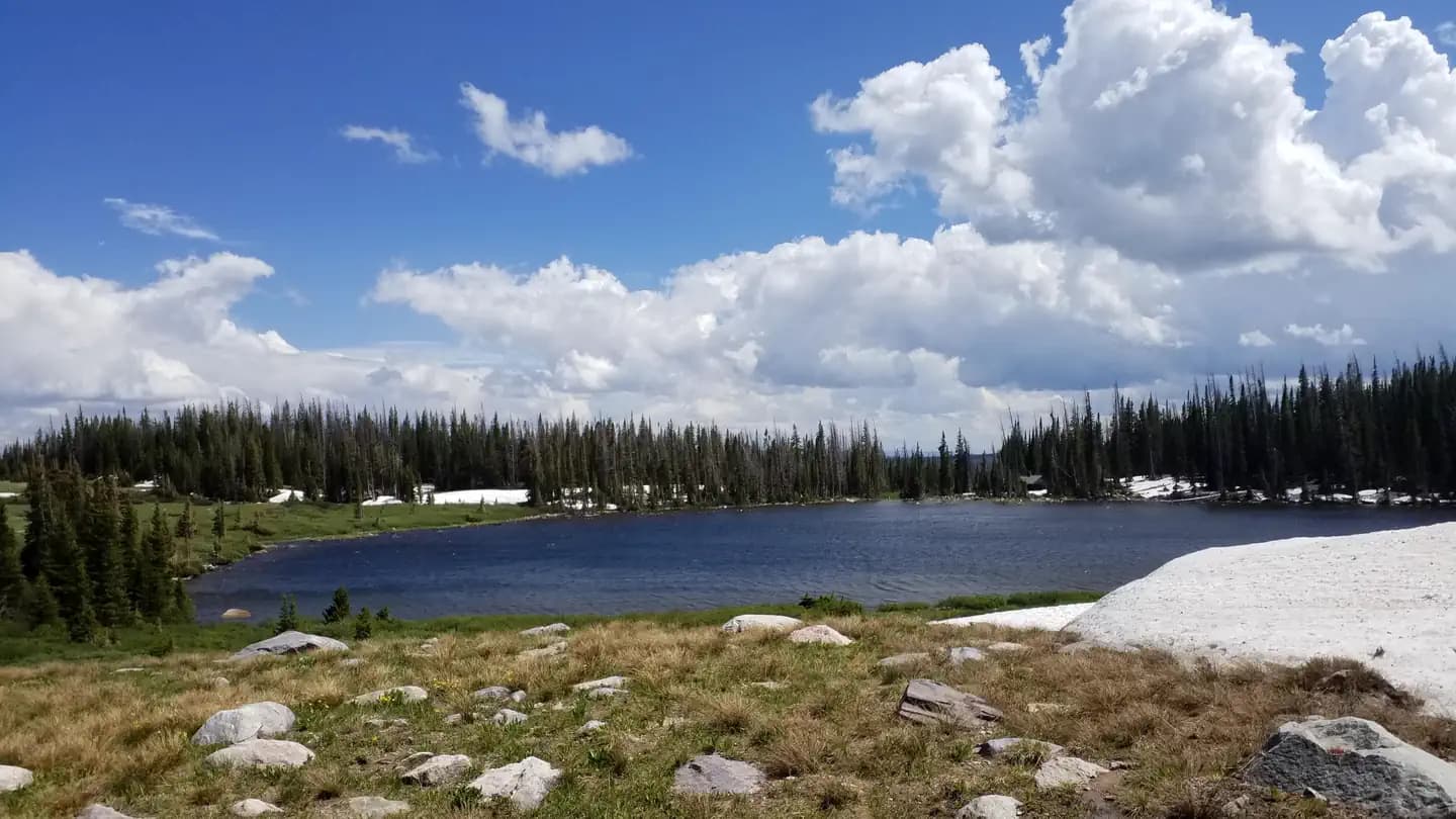 Brooklyn Lake Campground in Wyoming