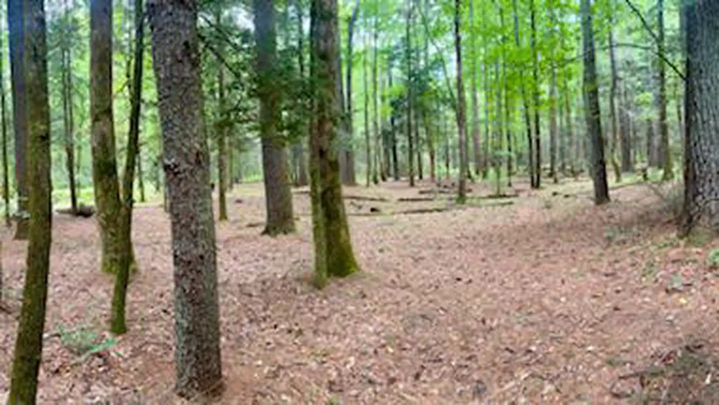 Basin Cove Backcountry Camping campground