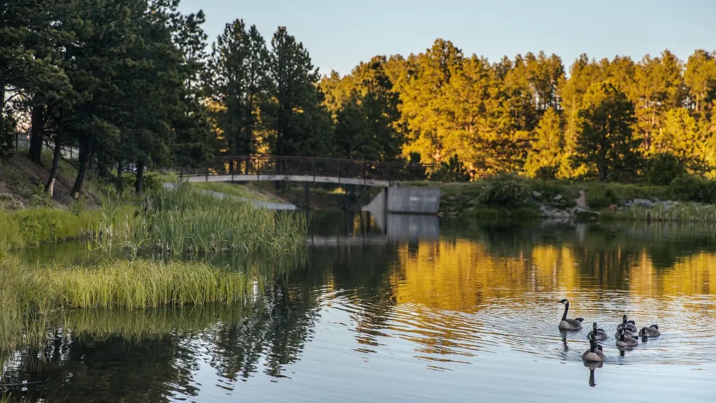 ROUBAIX LAKE campground
