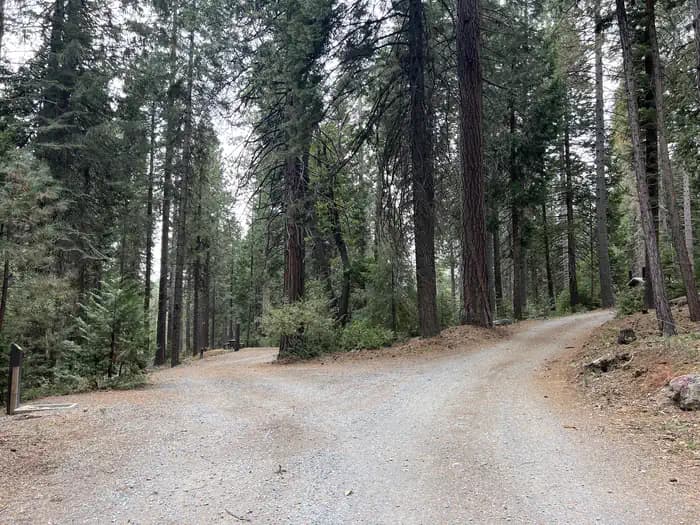 PONDEROSA COVE CAMPGROUND campground