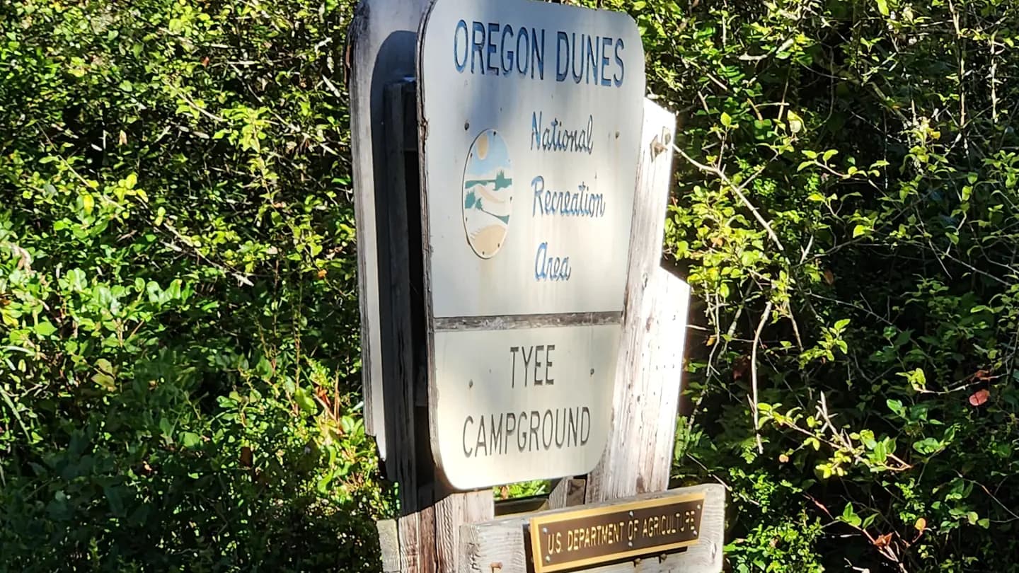 Tyee Campground - Oregon Dunes campground