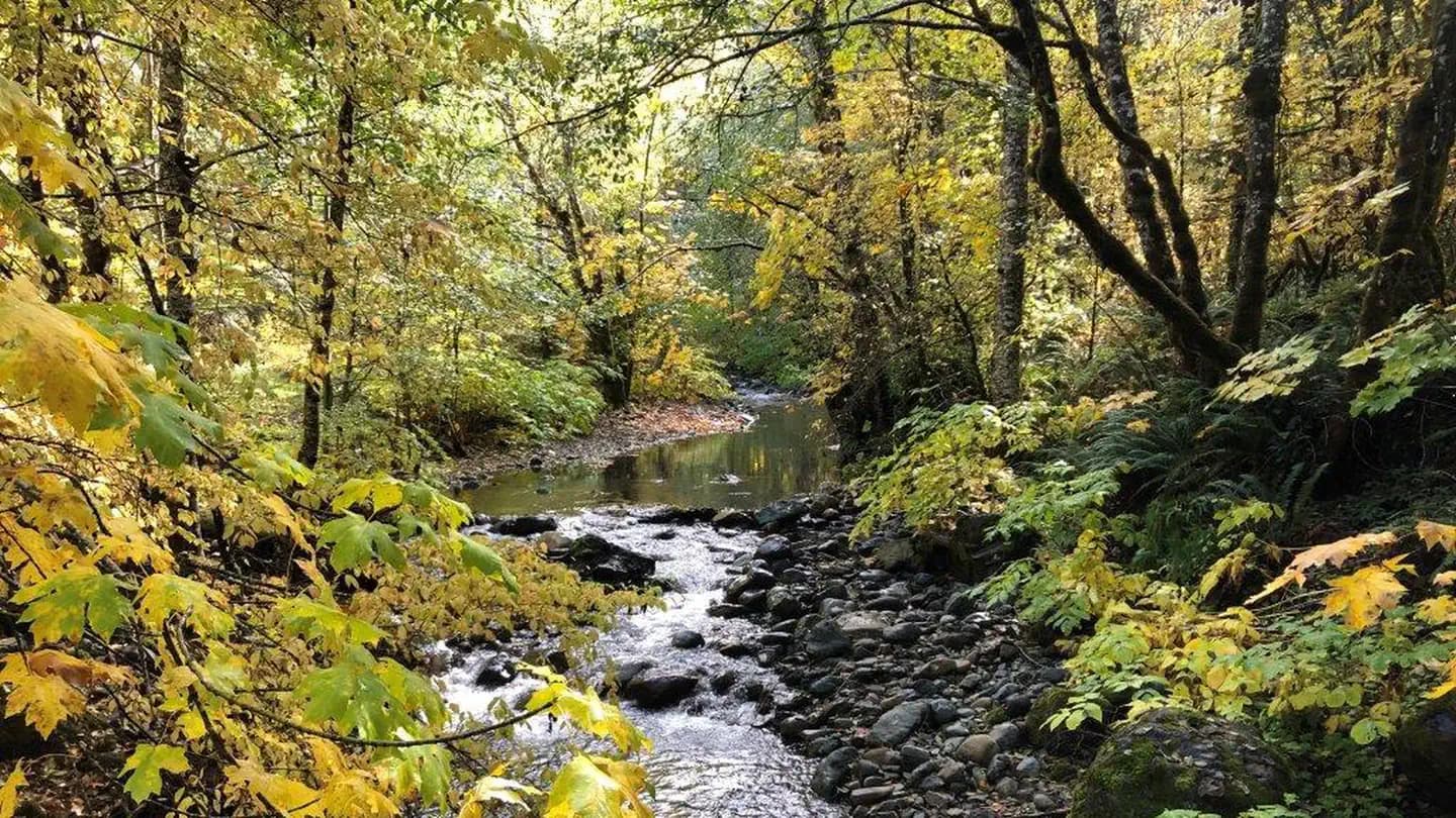 East Fork Campground – Six Rivers NF (Ca) in California