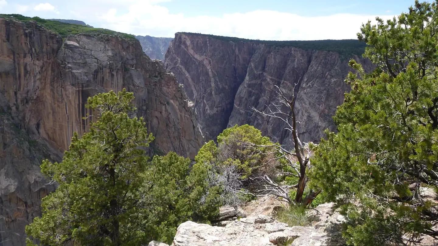 Black Canyon Of The Gunnison North Rim Campground campground
