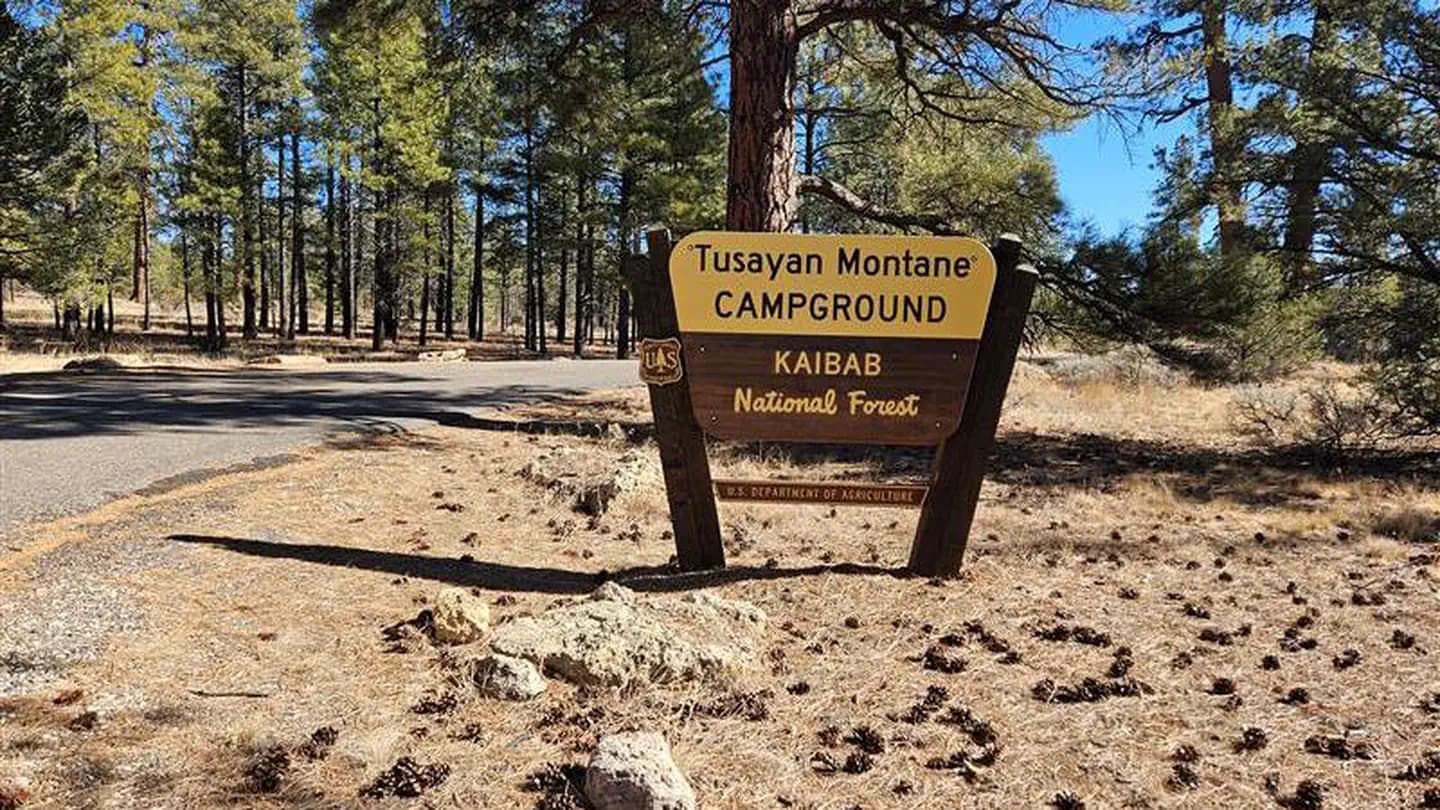 Tusayan - Montane campground