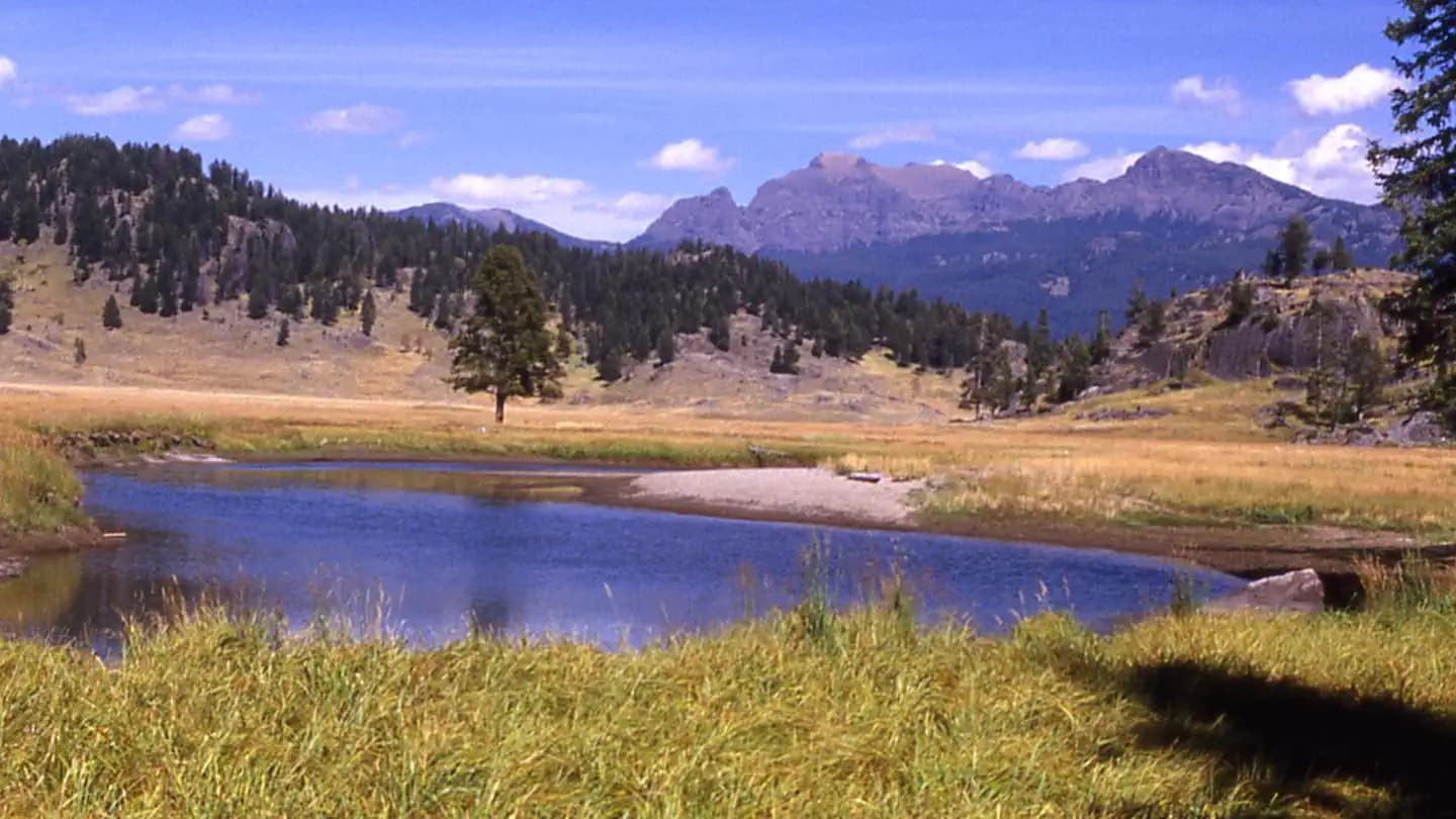 Slough Creek Campground in Wyoming
