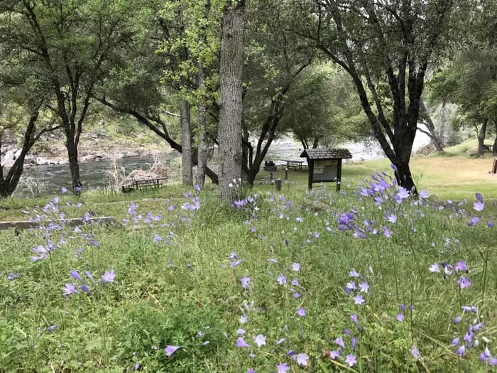 Willow Placer Campground campground