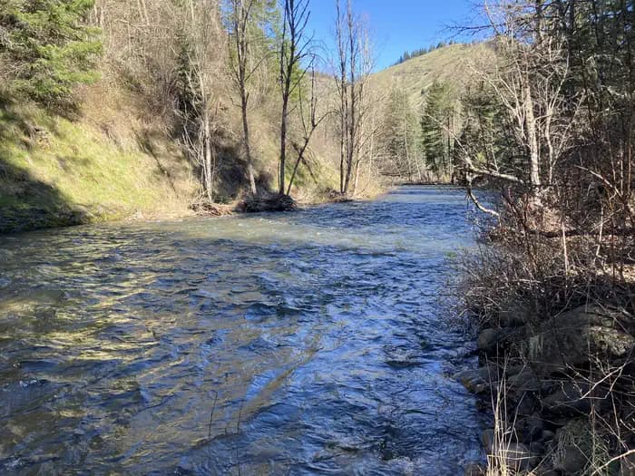 Umatilla Forks Campground campground