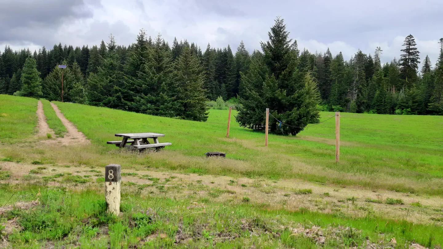 MT. ADAMS HC (WA) GIFFORD PINCHOT NF campground