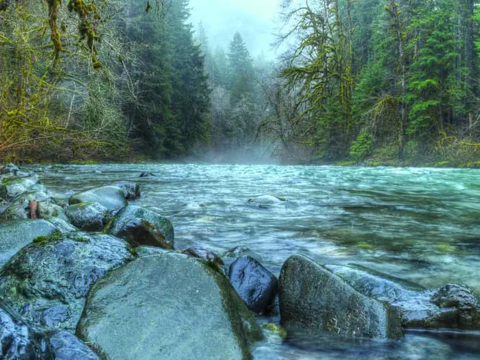Collins Campground in Washington
