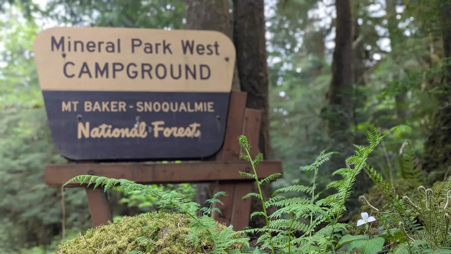 Mineral Park Campground campground in Washington