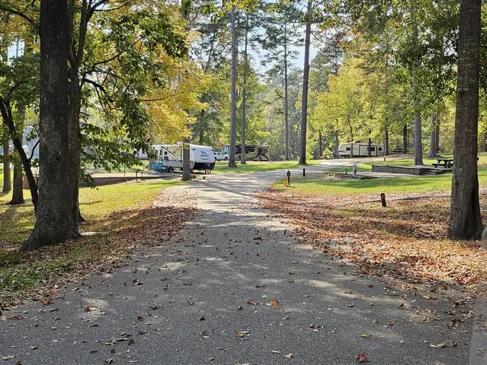 DAVIS LAKE CAMPGROUND campground
