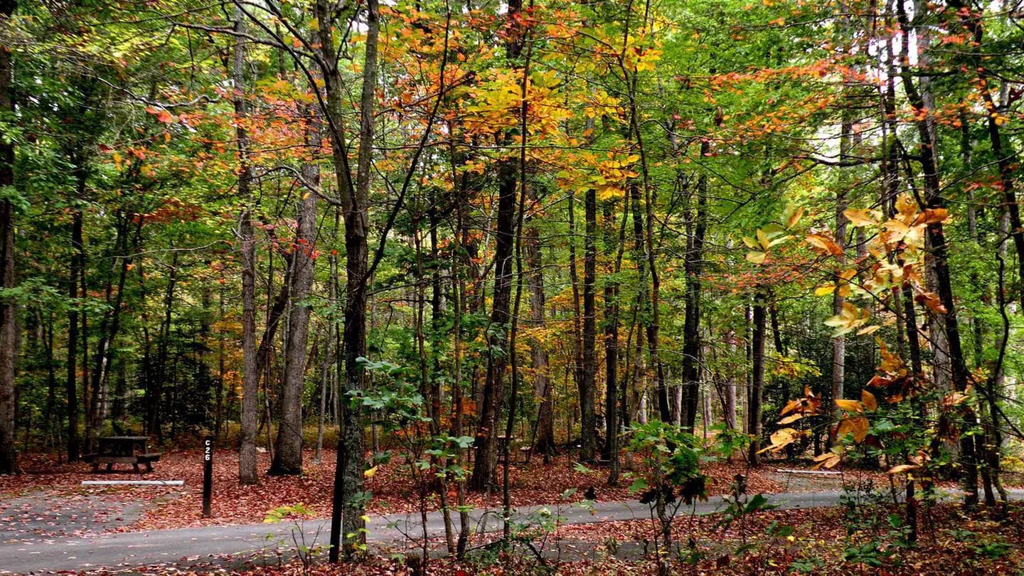 Oak Ridge Campground in Virginia