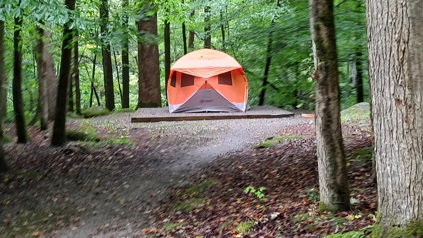 BIG CREEK CAMPGROUND (GREAT SMOKY MOUNTAINS NATIONAL PARK) campground