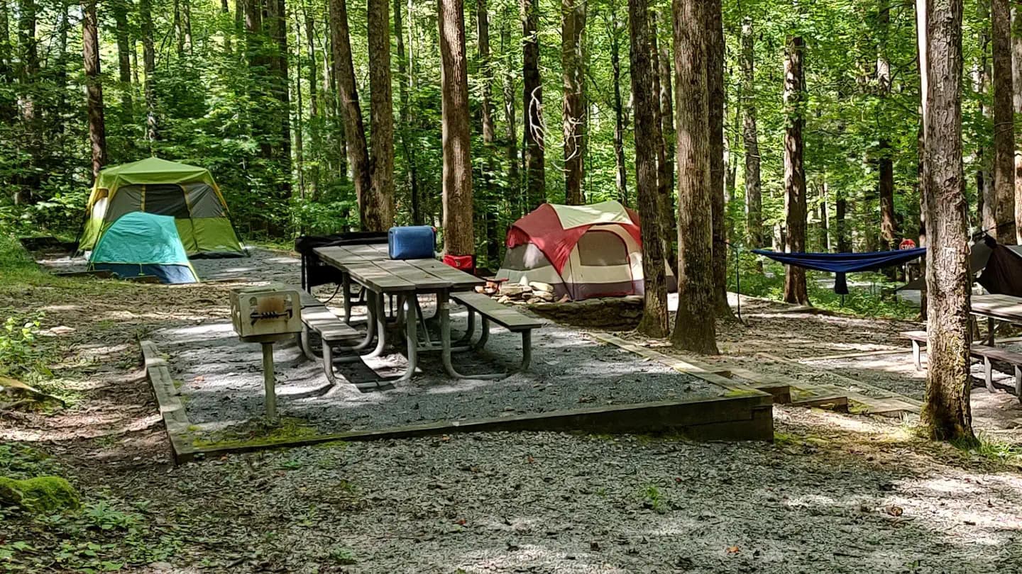 COSBY GROUP CAMP campground
