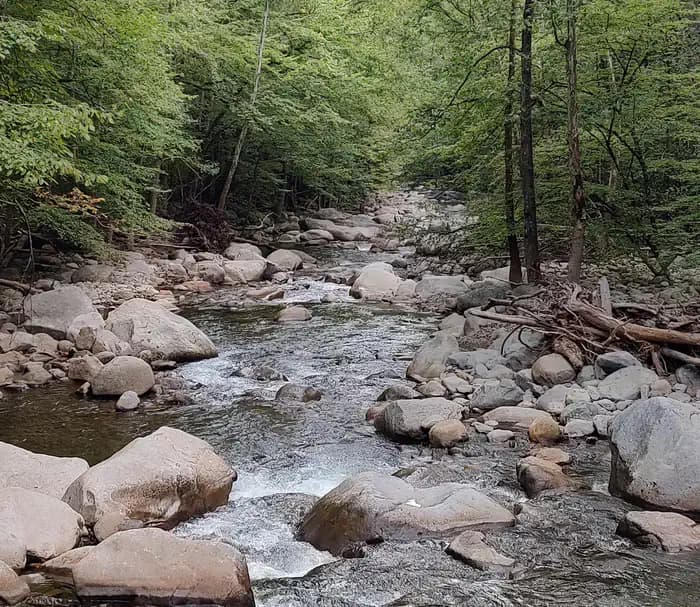BIG CREEK GROUP CAMP campground