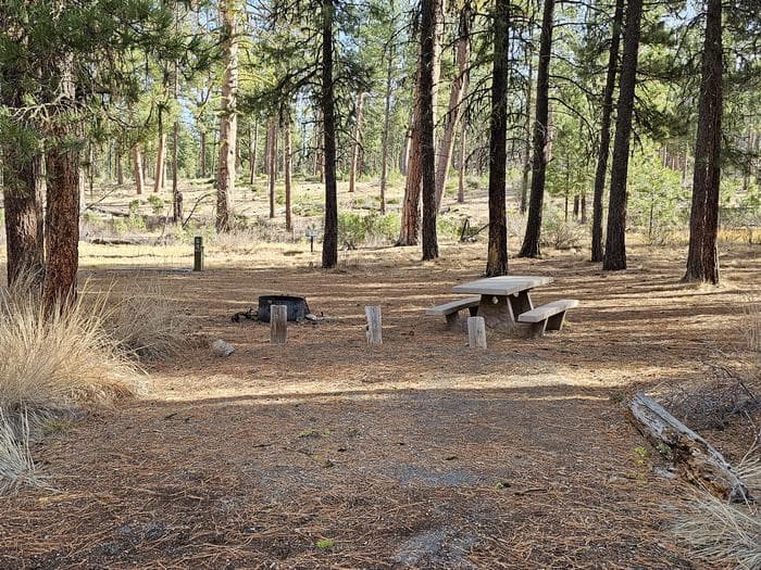Idlewild Campground
campground in Oregon