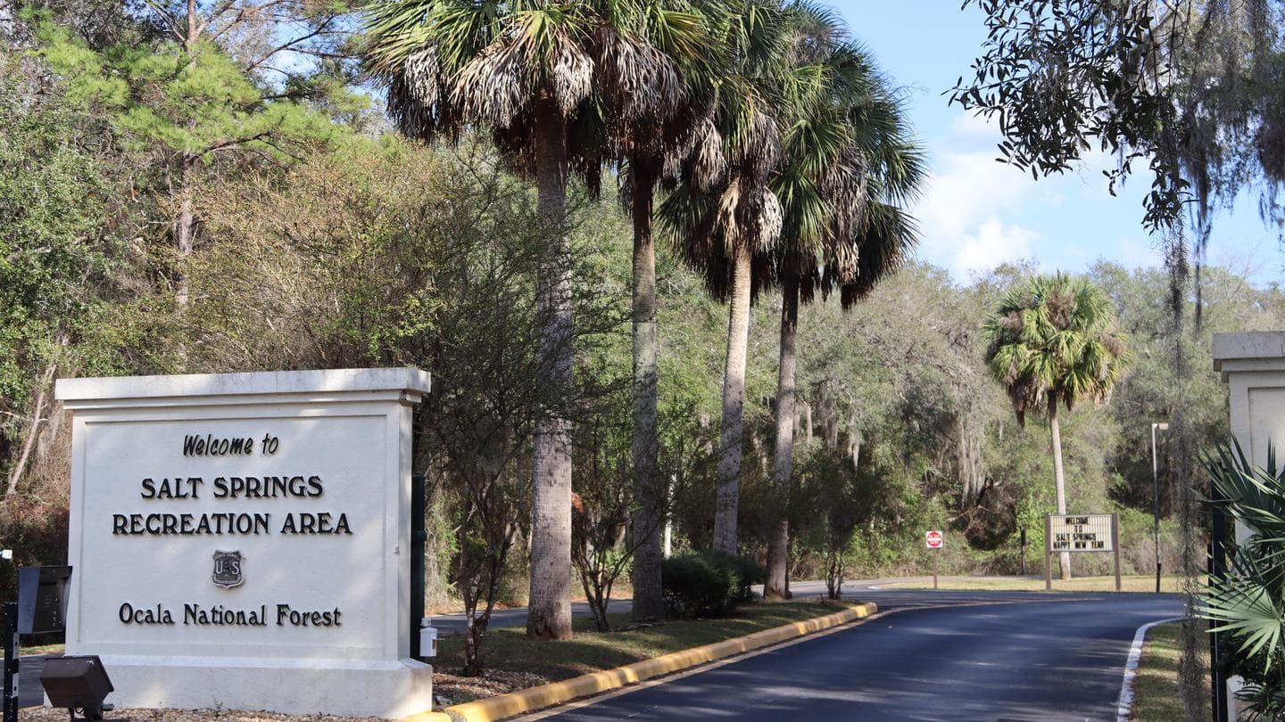 SALT SPRINGS RECREATION AREA campground