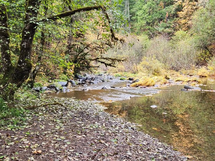White Creek Campground campground