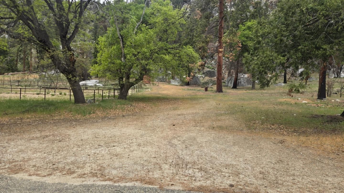 Cedar Grove Stock Campsite campground