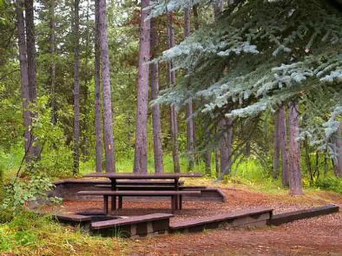 Alpine North Loop Campground in Wyoming