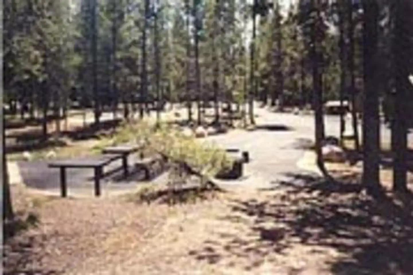 OUTLET AREA campground