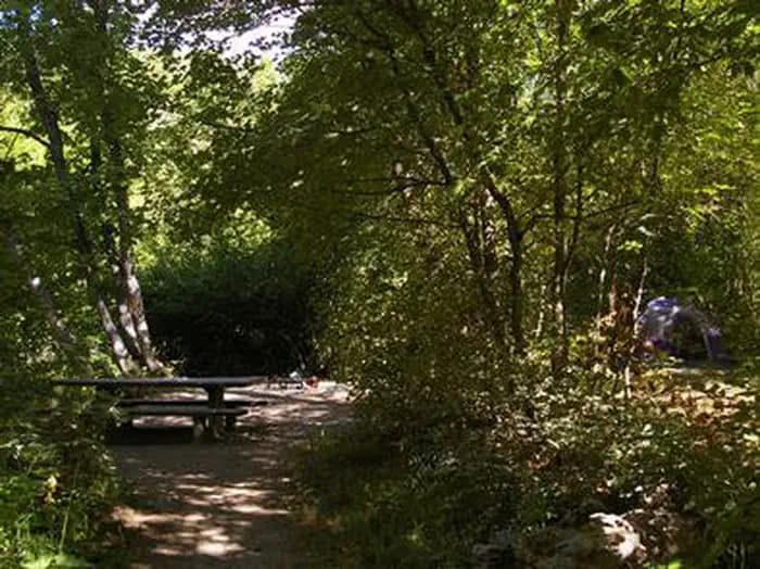 ALBERT MOSER campground
