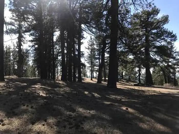 Campo Alto Campground in California