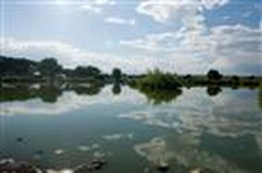 St Vrain State Park campground