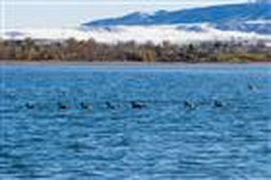 Chatfield State Park campground