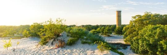Cape Henlopen State Park campground